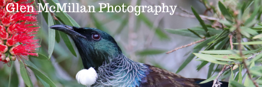 Glen McMillan Photography